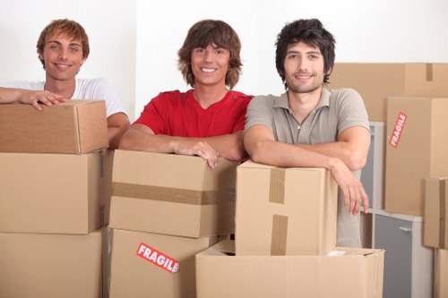 Boxes, wrap, and labels prepared for a Roehampton move